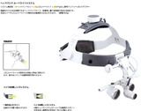 ハイネ6倍の世界
